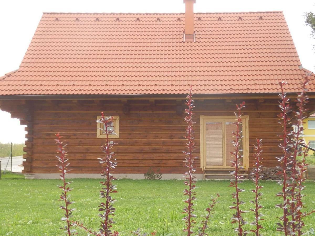 Drevenica Hrabusiceヴィラ エクステリア 写真